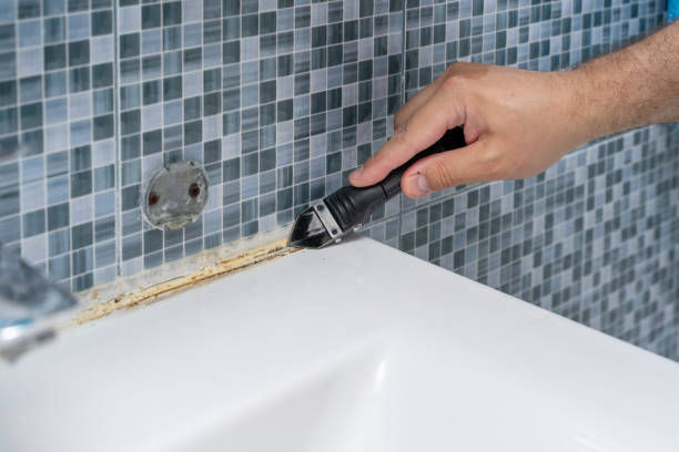 Best Residential Mold Removal  in Edmonton, KY